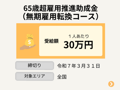 65歳超雇用推進助成金（無期雇用転換コース）