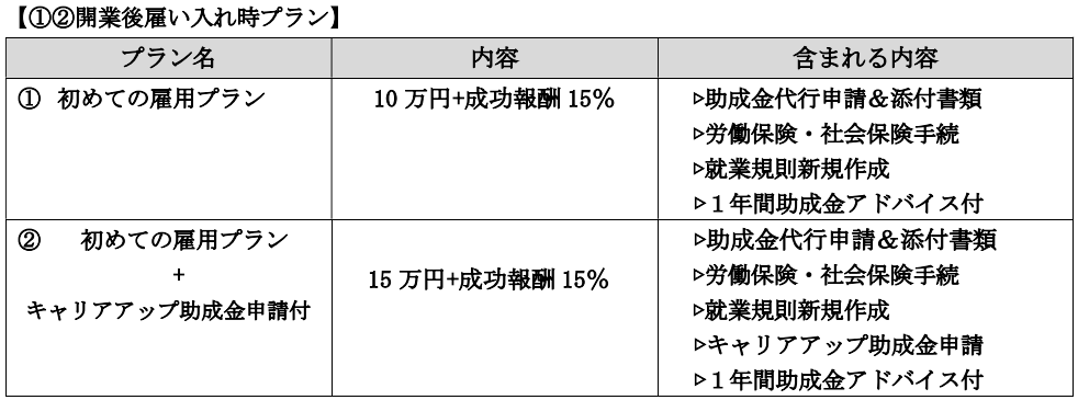 新規雇用プラン